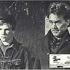 Fotoğraf Son Gösteri