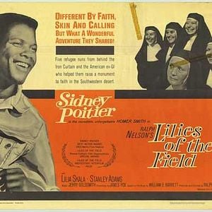 Fotoğraf Lilies of the field