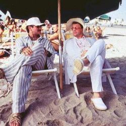 Fotoğraf Kuş Kafesi