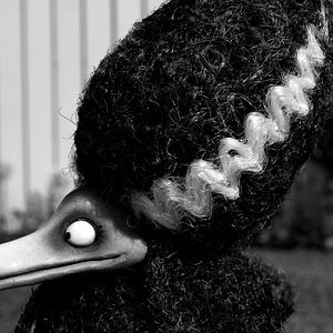 Fotoğraf Frankenweenie