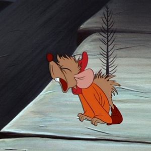 Fotoğraf Külkedisi