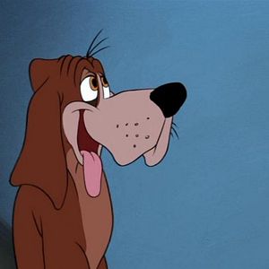 Fotoğraf Külkedisi