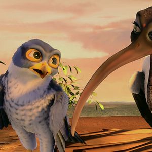 Fotoğraf Kuşlar Şehrinde Macera