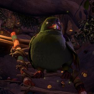 Fotoğraf Kuşlar Şehrinde Macera