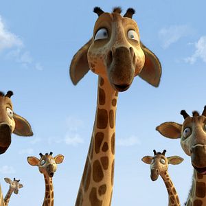 Fotoğraf Kuşlar Şehrinde Macera