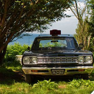 Fotoğraf Moonrise Kingdom