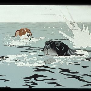 Fotoğraf The Plague Dogs