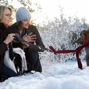 Fotoğraf Can Yoldaşım