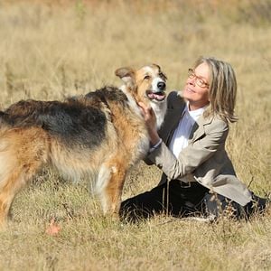 Fotoğraf Can Yoldaşım