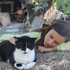 Fotoğraf Cactus vinaigrette