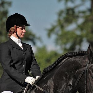 Fotoğraf The Dark Horse