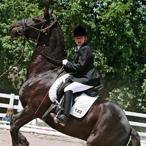 Fotoğraf The Dark Horse