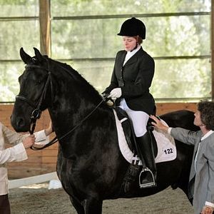 Fotoğraf The Dark Horse