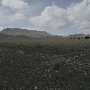 Fotoğraf Anton Corbijn İle İçli Dışlı