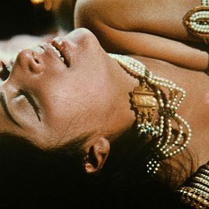 Fotoğraf Siddhartha