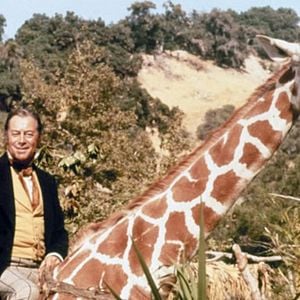 Fotoğraf Doctor Dolittle