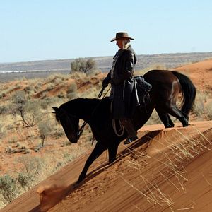 Fotoğraf Tornado and the Kalahari Horse Whisperer