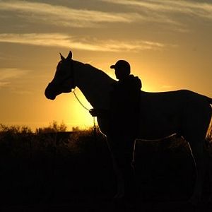 Fotoğraf Tornado and the Kalahari Horse Whisperer