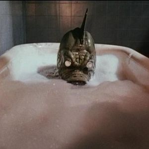 Fotoğraf Saturday The 14th