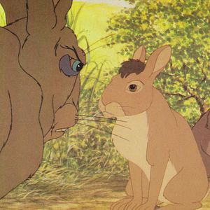 Fotoğraf Watership Down