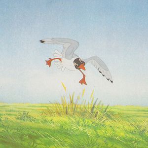 Fotoğraf Watership Down