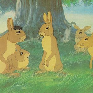 Fotoğraf Watership Down