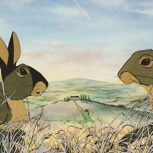 Fotoğraf Watership Down