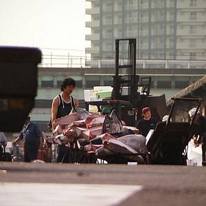 Fotoğraf Sushi - The Global Catch