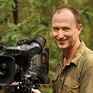 Fotoğraf Chimpanzee