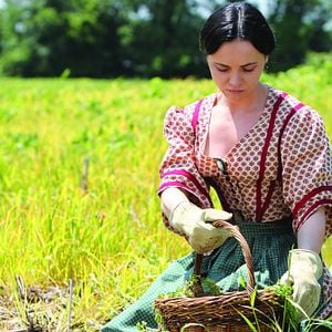 Fotoğraf War Flowers