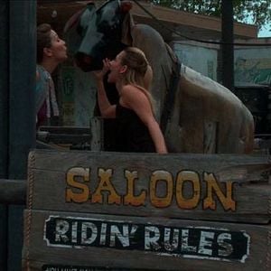 Fotoğraf No Body Found