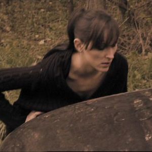 Fotoğraf Carnivorous