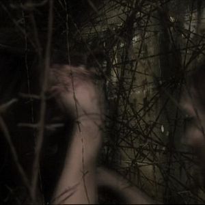 Fotoğraf Carnivorous