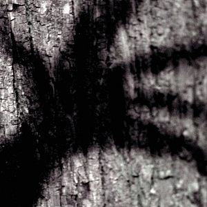 Fotoğraf Wer hat Angst vorm schwarzen Mann?