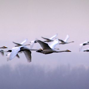 Fotoğraf Deutschland von oben