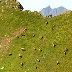 Fotoğraf Deutschland von oben