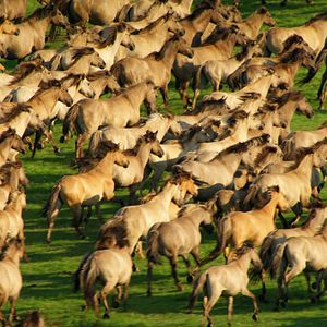 Fotoğraf Deutschland von oben