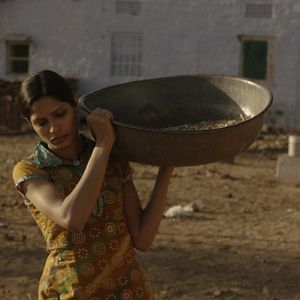 Fotoğraf Freida Pinto