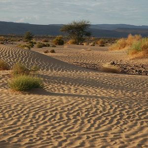 Fotoğraf Allein die Wüste