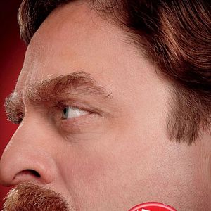 Fotoğraf The Campaign