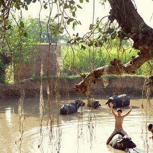 Fotoğraf Raj Bhansali