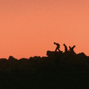 Fotoğraf Schildkrötenwut