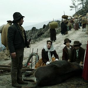 Fotoğraf Wellington Hatları