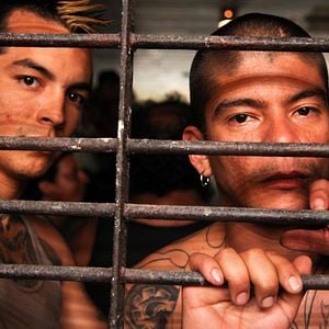 Fotoğraf Get the Gringo