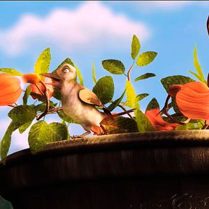 Fotoğraf Plumíferos, aventuras voladoras