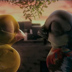 Fotoğraf Plumíferos, aventuras voladoras