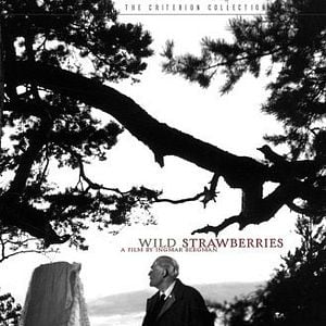 Fotoğraf Yaban Çilekleri