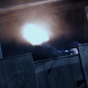 Fotoğraf Parshivye ovcy