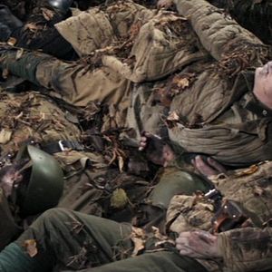 Fotoğraf Parshivye ovcy