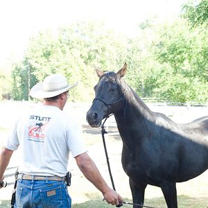 Fotoğraf Flicka: Country Pride